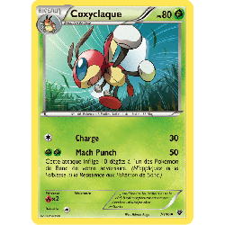 pokemon-tcg-7-146-coxyclaque-uncommon-xy-xy