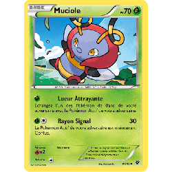 pokemon-tcg-8-146-muciole-uncommon-xy-xy
