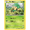 pokemon-tcg-10-146-feuillajou-common-xy-xy