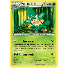 pokemon-tcg-11-146-feuiloutan-rare-xy-xy
