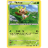 pokemon-tcg-12-146-marisson-common-xy-xy
