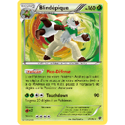 pokemon-tcg-14-146-blindepique-holo-rare-xy-xy