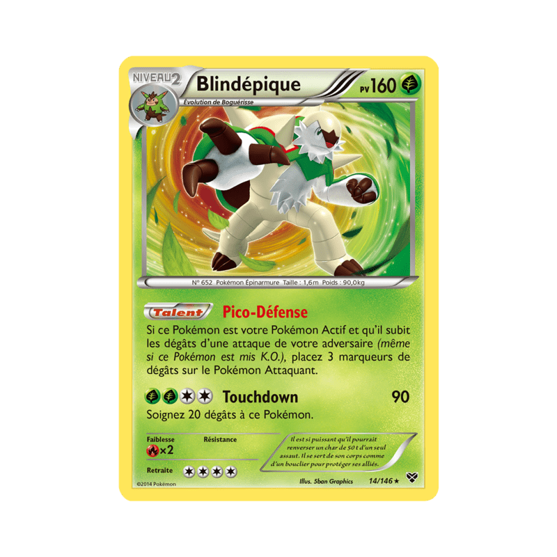 pokemon-tcg-14-146-blindepique-holo-rare-xy-xy