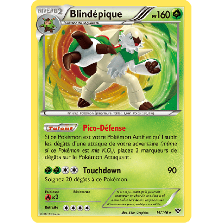 pokemon-tcg-14-146-blindepique-holo-rare-xy-xy