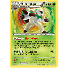 pokemon-tcg-14-146-blindepique-holo-rare-xy-xy