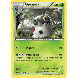 pokemon-tcg-16-146-peregrain-uncommon-xy-xy