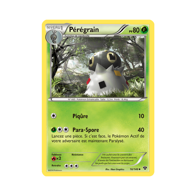 pokemon-tcg-16-146-peregrain-uncommon-xy-xy
