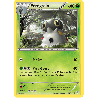 pokemon-tcg-16-146-peregrain-uncommon-xy-xy