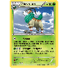 pokemon-tcg-19-146-chevroum-holo-rare-xy-xy