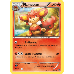 pokemon-tcg-23-146-flamoutan-rare-xy-xy