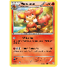 pokemon-tcg-23-146-flamoutan-rare-xy-xy