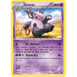 pokemon-tcg-50-146-groret-rare-xy-xy