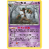 pokemon-tcg-55-146-desseliande-holo-rare-xy-xy