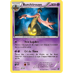 pokemon-tcg-57-146-banshitrouye-holo-rare-xy-xy