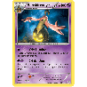 pokemon-tcg-57-146-banshitrouye-holo-rare-xy-xy