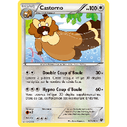 pokemon-tcg-107-146-castorno-rare-xy-xy