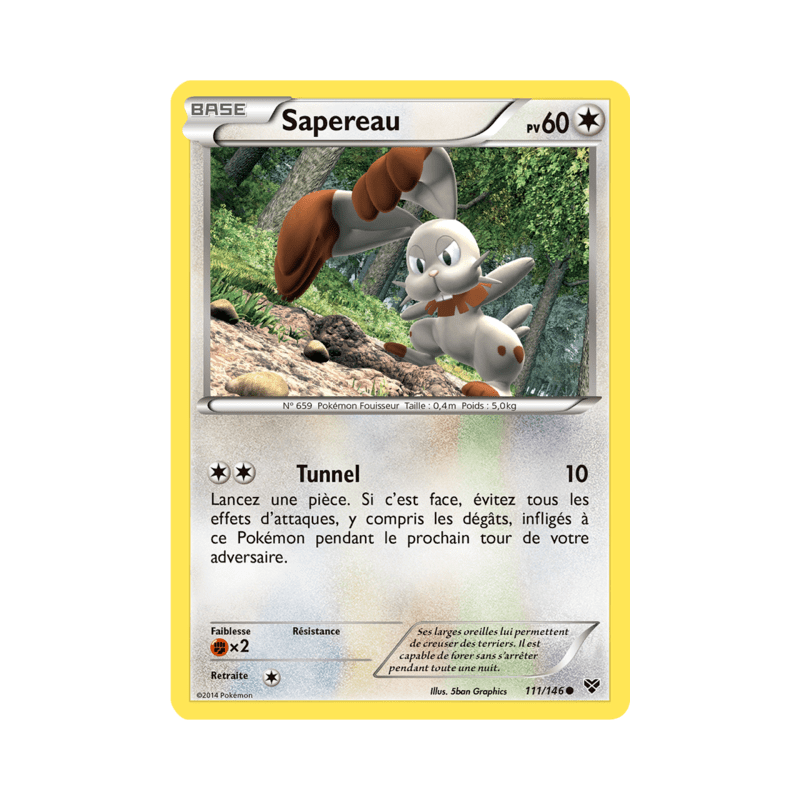 pokemon-tcg-111-146-sapereau-common-xy-xy