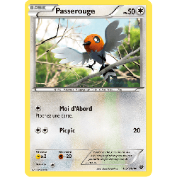 pokemon-tcg-113-146-passerouge-common-xy-xy