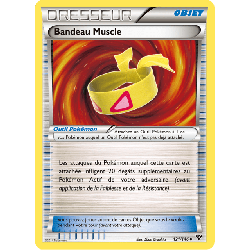 pokemon-tcg-121-146-bandeau-muscle-uncommon-xy-xy