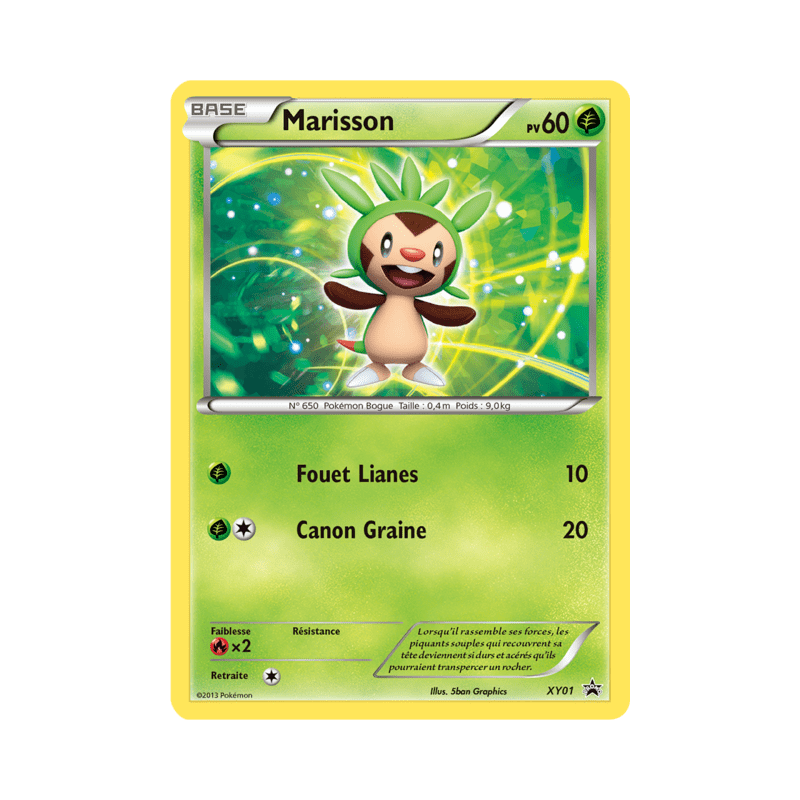 pokemon-tcg-1-marisson-xy-promos-xy-xyp