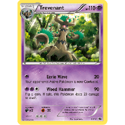 pokemon-tcg-14-desseliande-xy-promos-xy-xyp
