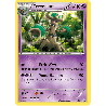 pokemon-tcg-14-desseliande-xy-promos-xy-xyp