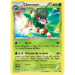 pokemon-tcg-16-chevroum-xy-promos-xy-xyp