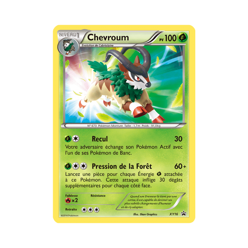 pokemon-tcg-16-chevroum-xy-promos-xy-xyp