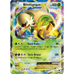 pokemon-tcg-18-blindepique-ex-xy-promos-xy-xyp