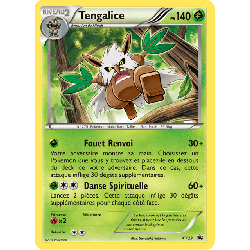 pokemon-tcg-23-tengalice-xy-promos-xy-xyp