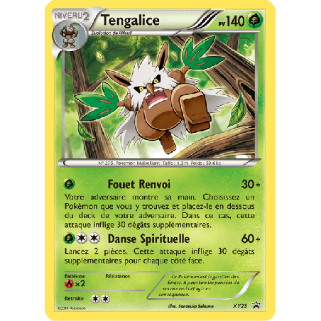 pokemon-tcg-23-tengalice-xy-promos-xy-xyp