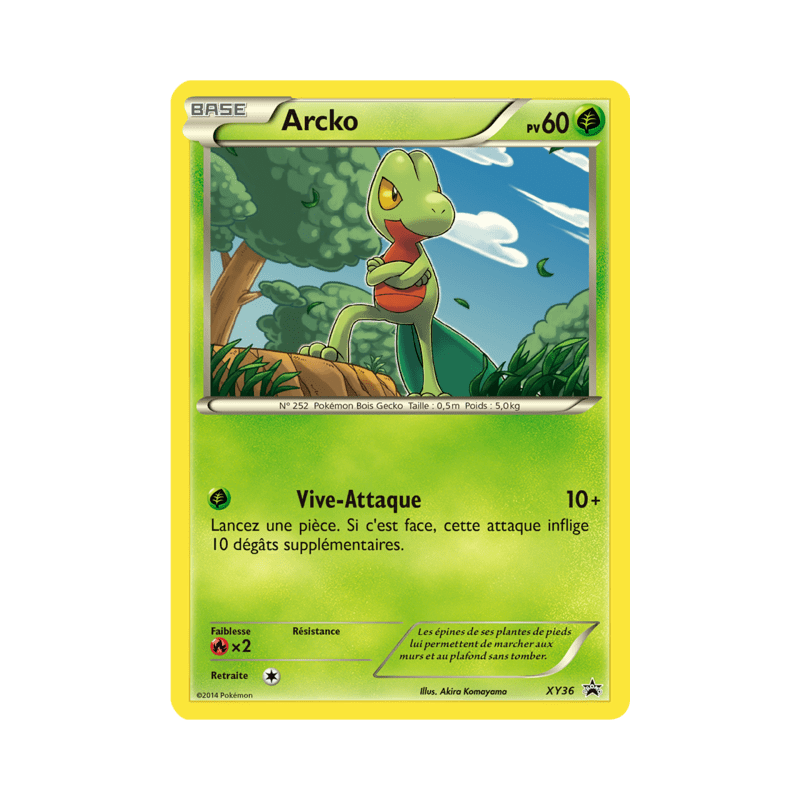 pokemon-tcg-36-arcko-xy-promos-xy-xyp