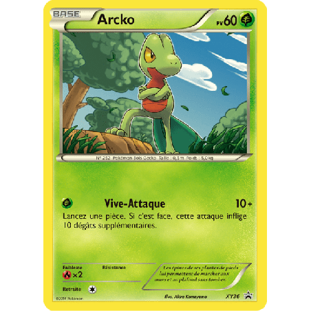 pokemon-tcg-36-arcko-xy-promos-xy-xyp