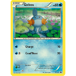 pokemon-tcg-38-gobou-xy-promos-xy-xyp