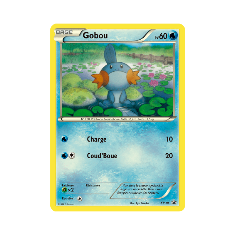 pokemon-tcg-38-gobou-xy-promos-xy-xyp