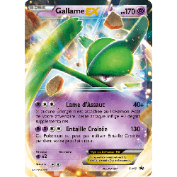 pokemon-tcg-45-gallame-ex-xy-promos-xy-xyp