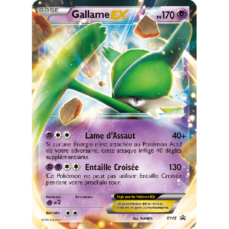 pokemon-tcg-45-gallame-ex-xy-promos-xy-xyp