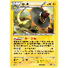 pokemon-tcg-47-iguolta-xy-promos-xy-xyp