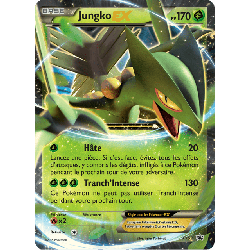 pokemon-tcg-53-jungko-ex-xy-promos-xy-xyp