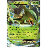 pokemon-tcg-53-jungko-ex-xy-promos-xy-xyp