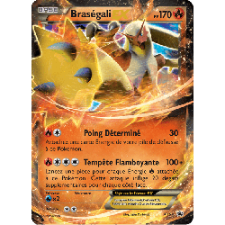 pokemon-tcg-54-brasegali-ex-xy-promos-xy-xyp