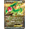 pokemon-tcg-61-libegon-ex-xy-promos-xy-xyp
