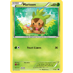 pokemon-tcg-88-marisson-xy-promos-xy-xyp