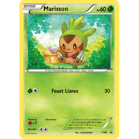 pokemon-tcg-88-marisson-xy-promos-xy-xyp