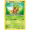 pokemon-tcg-88-marisson-xy-promos-xy-xyp