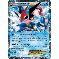 pokemon-tcg-133-sachanobi-ex-xy-promos-xy-xyp