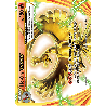 pokemon-tcg-154-ho-oh-turbo-xy-promos-xy-xyp