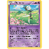 pokemon-tcg-193-meloetta-xy-promos-xy-xyp