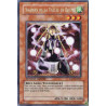 yu-gi-oh-tcg-ha01-fr005-se-shaman-de-la-vallee-de-brume-arsenal-mysterieux