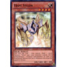 yu-gi-oh-tcg-ha06-fr008-sr-hept-vylon-arsenal-mysterieux-6-omega-xyz
